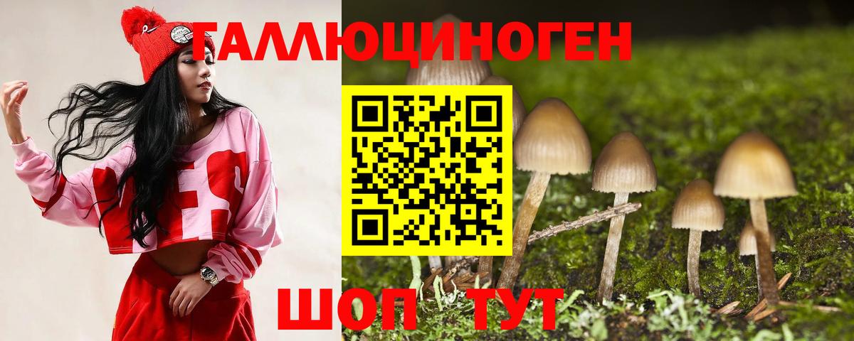 Псилоцибиновые грибы Psilocybine cubensis  Вход с VPN  Южноуральск 