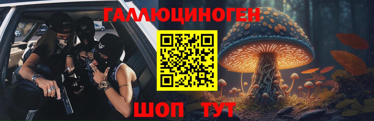 Псилоцибиновые грибы Psilocybe Южноуральск